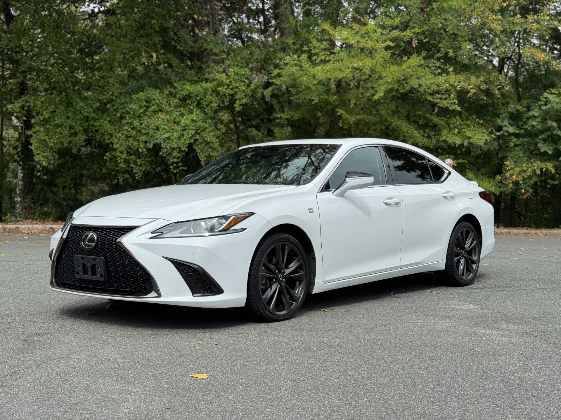 2021 Lexus ES 250 F SPORT photo 4