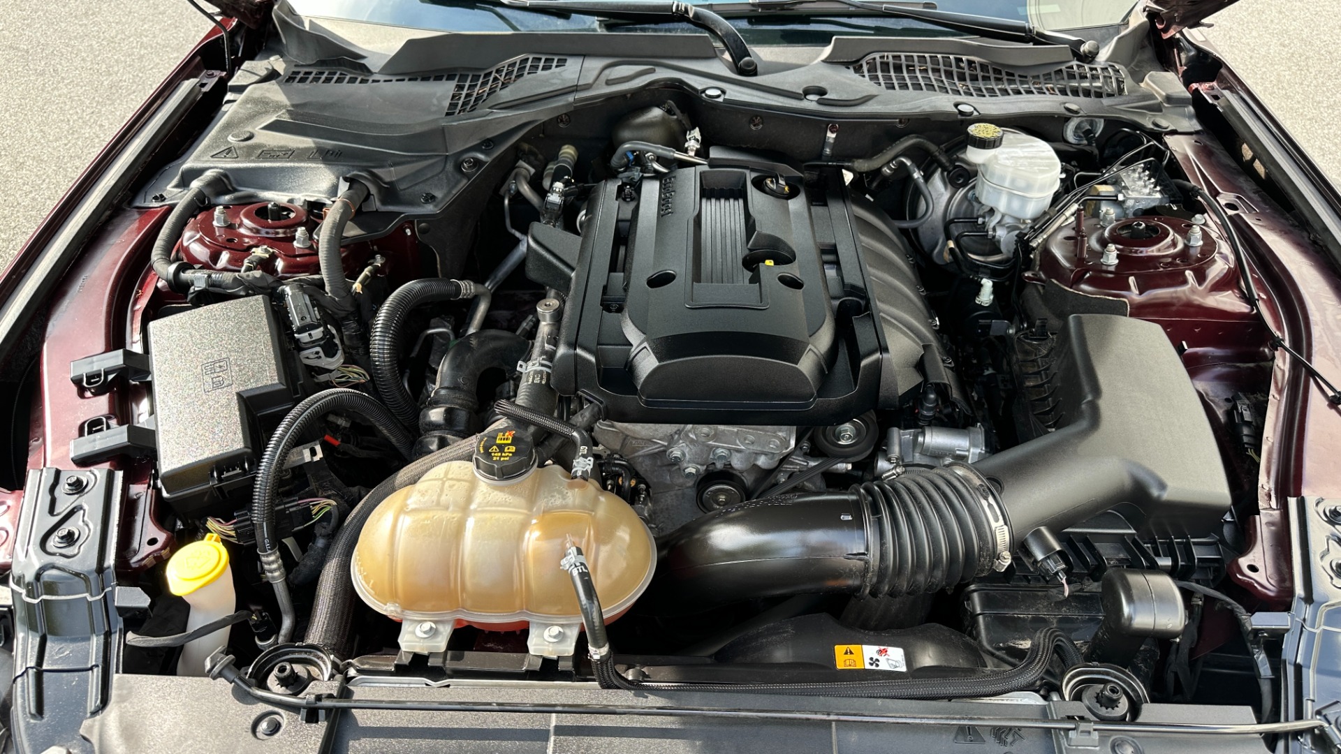Used 2018 Ford Mustang EcoBoost Premium / LEATHER / 10SPD AUTO / TURBO ENGINE for sale Sold at Formula Imports in Charlotte NC 28227 40