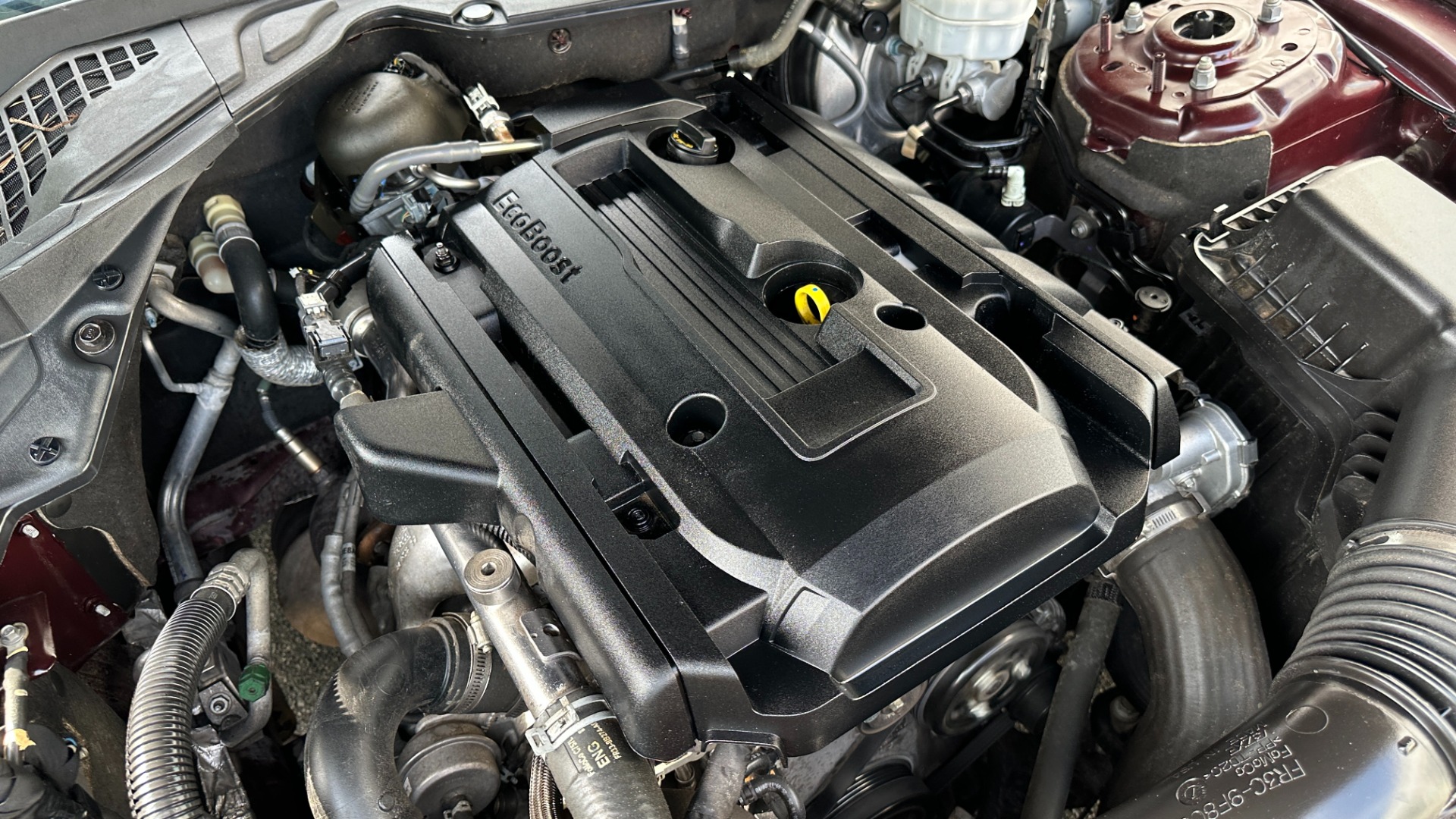 Used 2018 Ford Mustang EcoBoost Premium / LEATHER / 10SPD AUTO / TURBO ENGINE for sale $19,995 at Formula Imports in Charlotte NC 28227 42