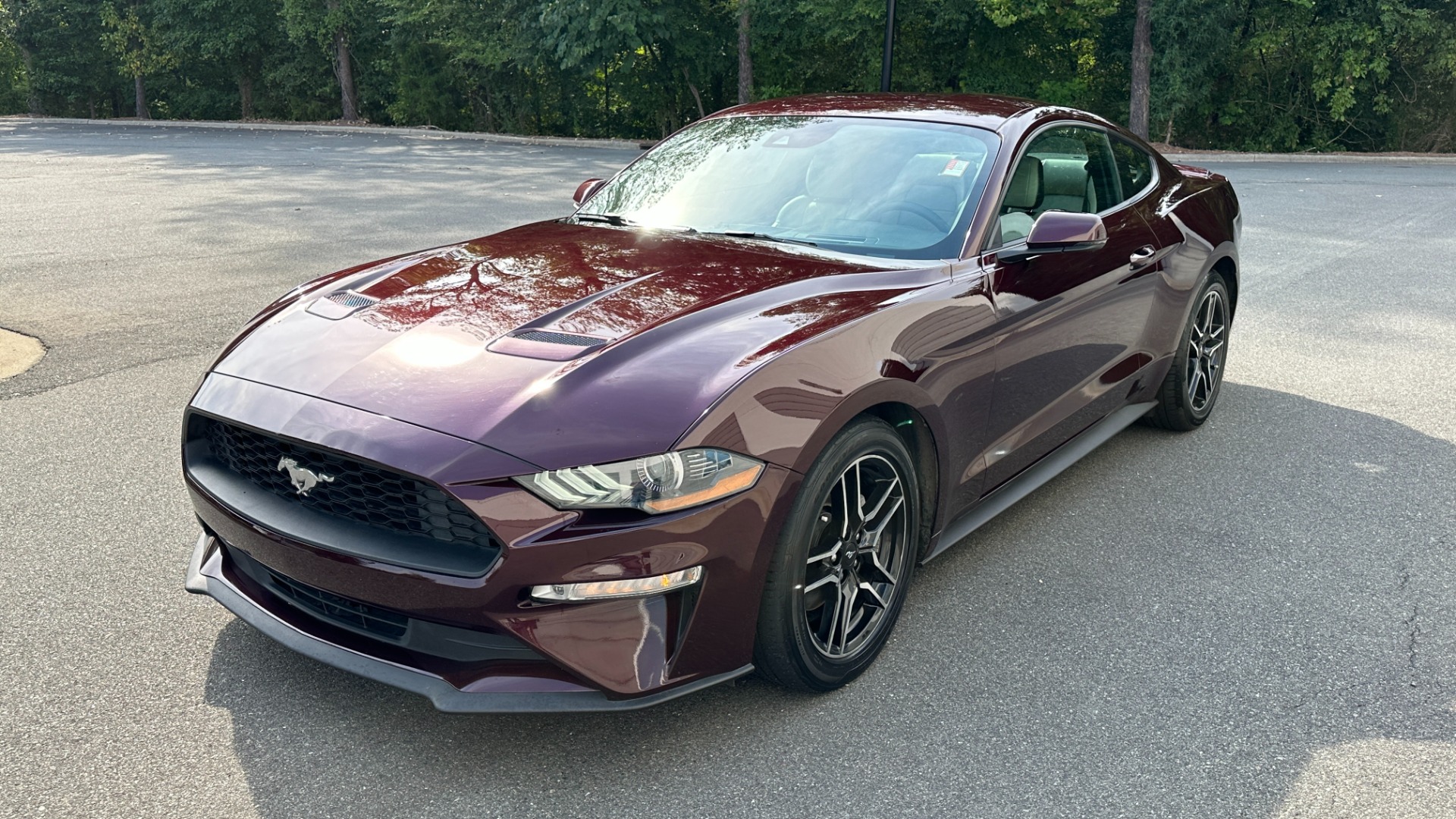 Used 2018 Ford Mustang EcoBoost Premium / LEATHER / 10SPD AUTO / TURBO ENGINE for sale $19,995 at Formula Imports in Charlotte NC 28227 5