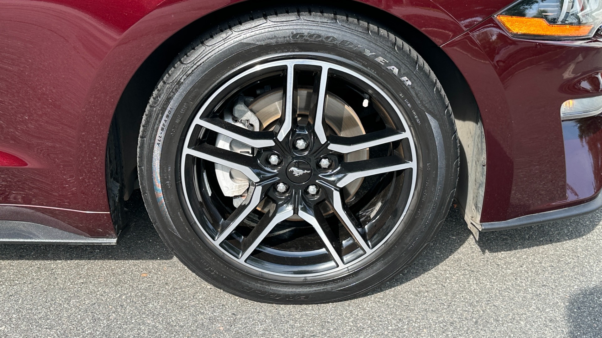Used 2018 Ford Mustang EcoBoost Premium / LEATHER / 10SPD AUTO / TURBO ENGINE for sale $19,995 at Formula Imports in Charlotte NC 28227 50