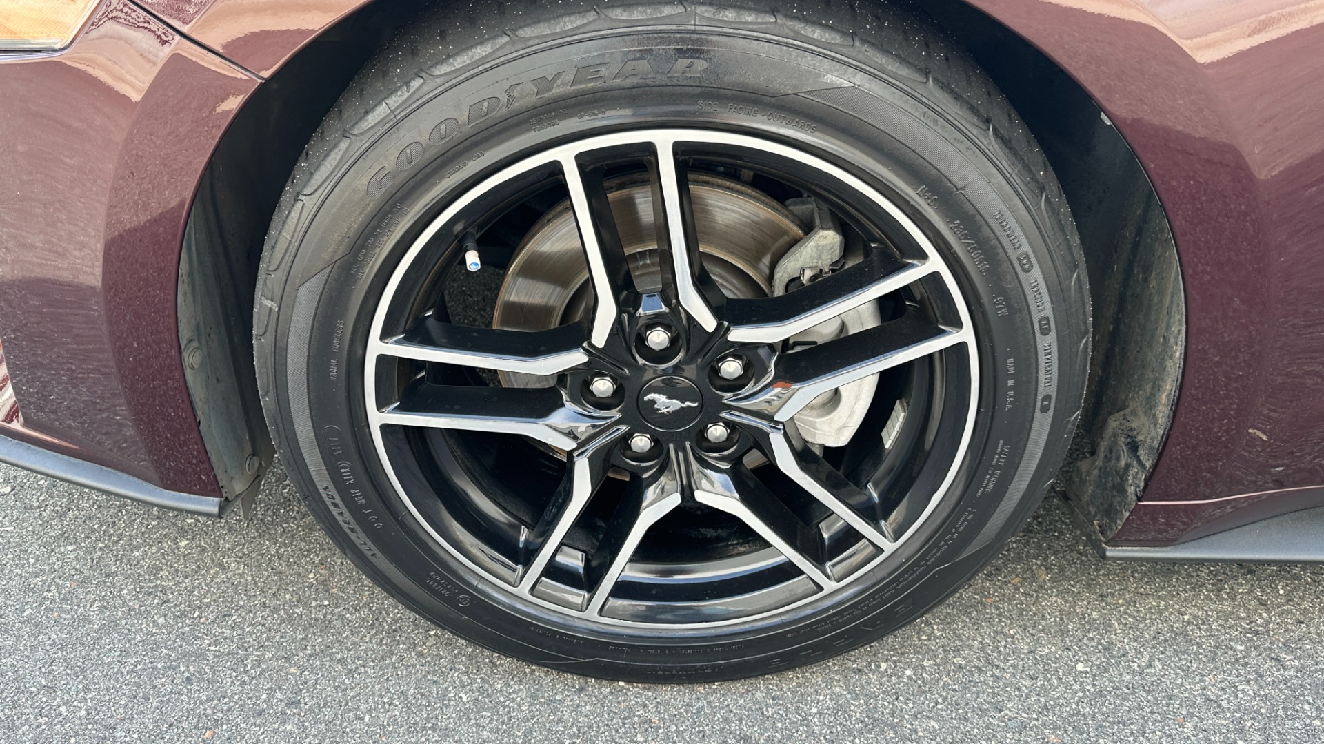 Used 2018 Ford Mustang EcoBoost Premium / LEATHER / 10SPD AUTO / TURBO ENGINE for sale $19,995 at Formula Imports in Charlotte NC 28227 51