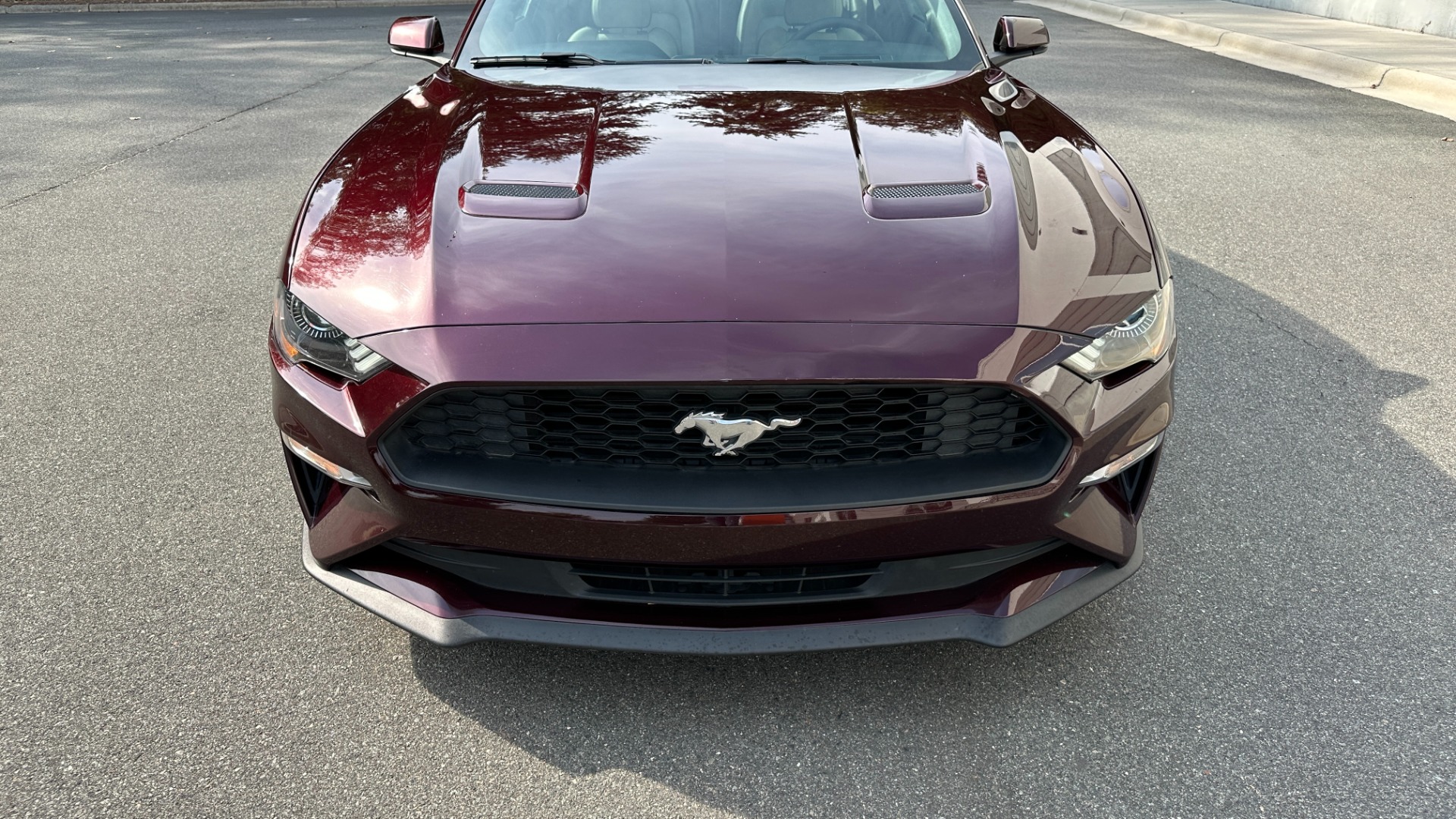 Used 2018 Ford Mustang EcoBoost Premium / LEATHER / 10SPD AUTO / TURBO ENGINE for sale Sold at Formula Imports in Charlotte NC 28227 8