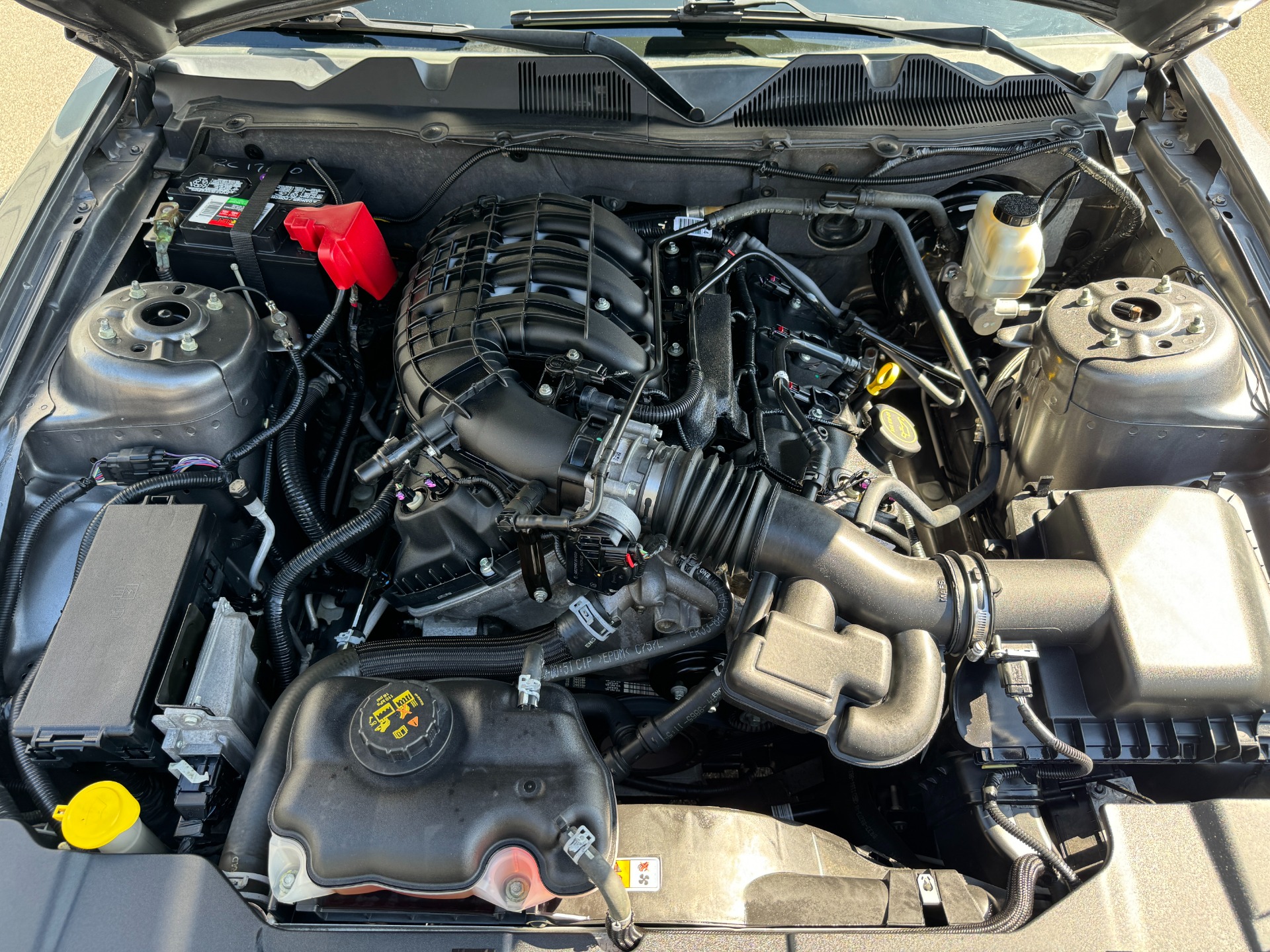 Used 2014 Ford Mustang V6 TECH PKG for sale Sold at Formula Imports in Charlotte NC 28227 38