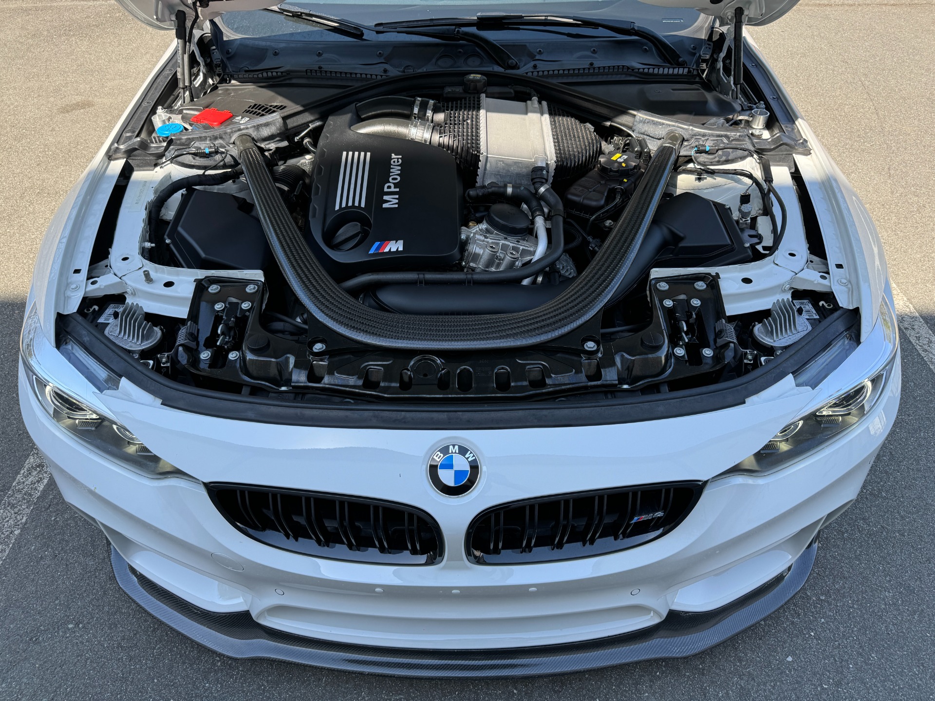 Used 2019 BMW M4 CARBON FIBER ROOF / SAKHIR INTERIOR for sale Sold at Formula Imports in Charlotte NC 28227 51