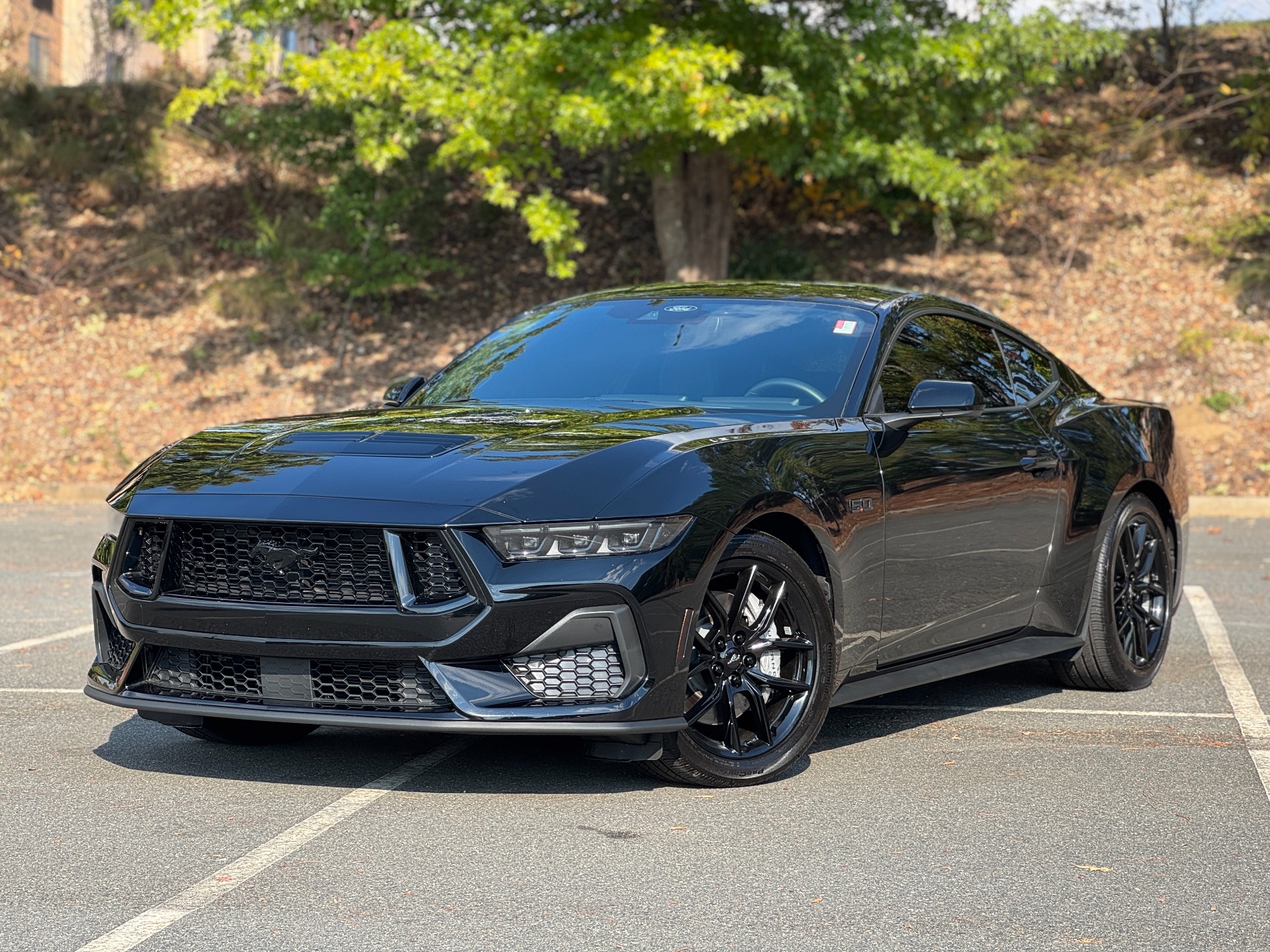 Used 2024 Ford Mustang GT 301A EQUIPMENT GROUP / NITE PONY PKG / 19IN WHEELS for sale Sold at Formula Imports in Charlotte NC 28227 1