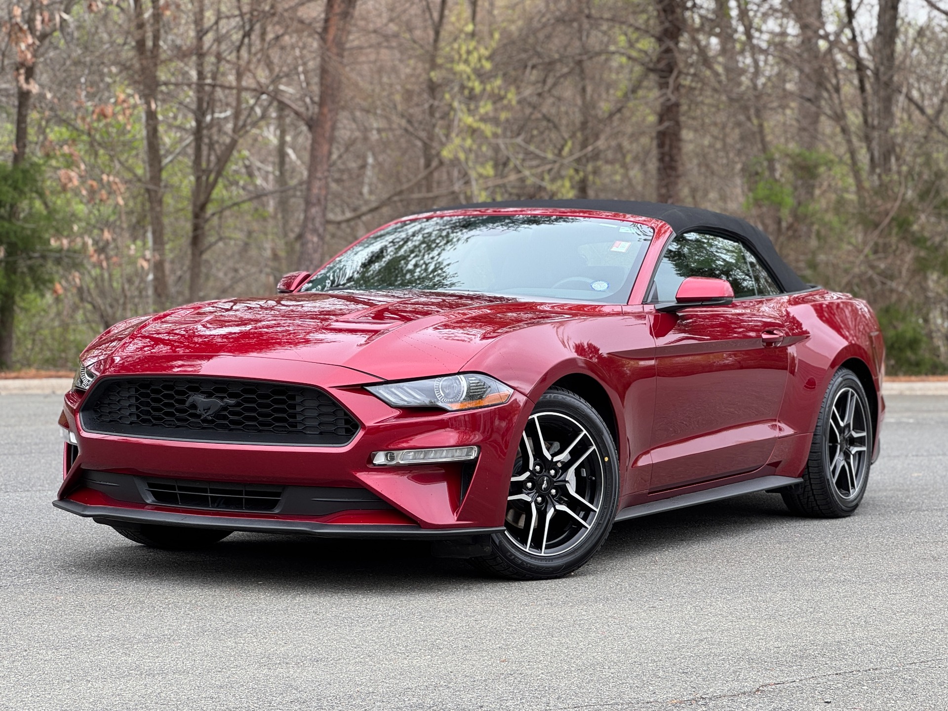 Used 2019 Ford Mustang EcoBoost 201A PKG / 18IN WHEELS / 10-SPEED AUTO for sale Sold at Formula Imports in Charlotte NC 28227 1