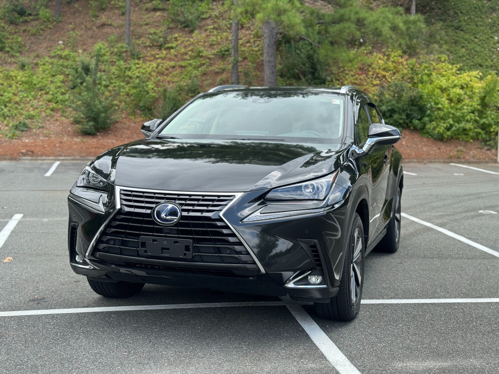 2021 Lexus NX 300h Premium photo 2