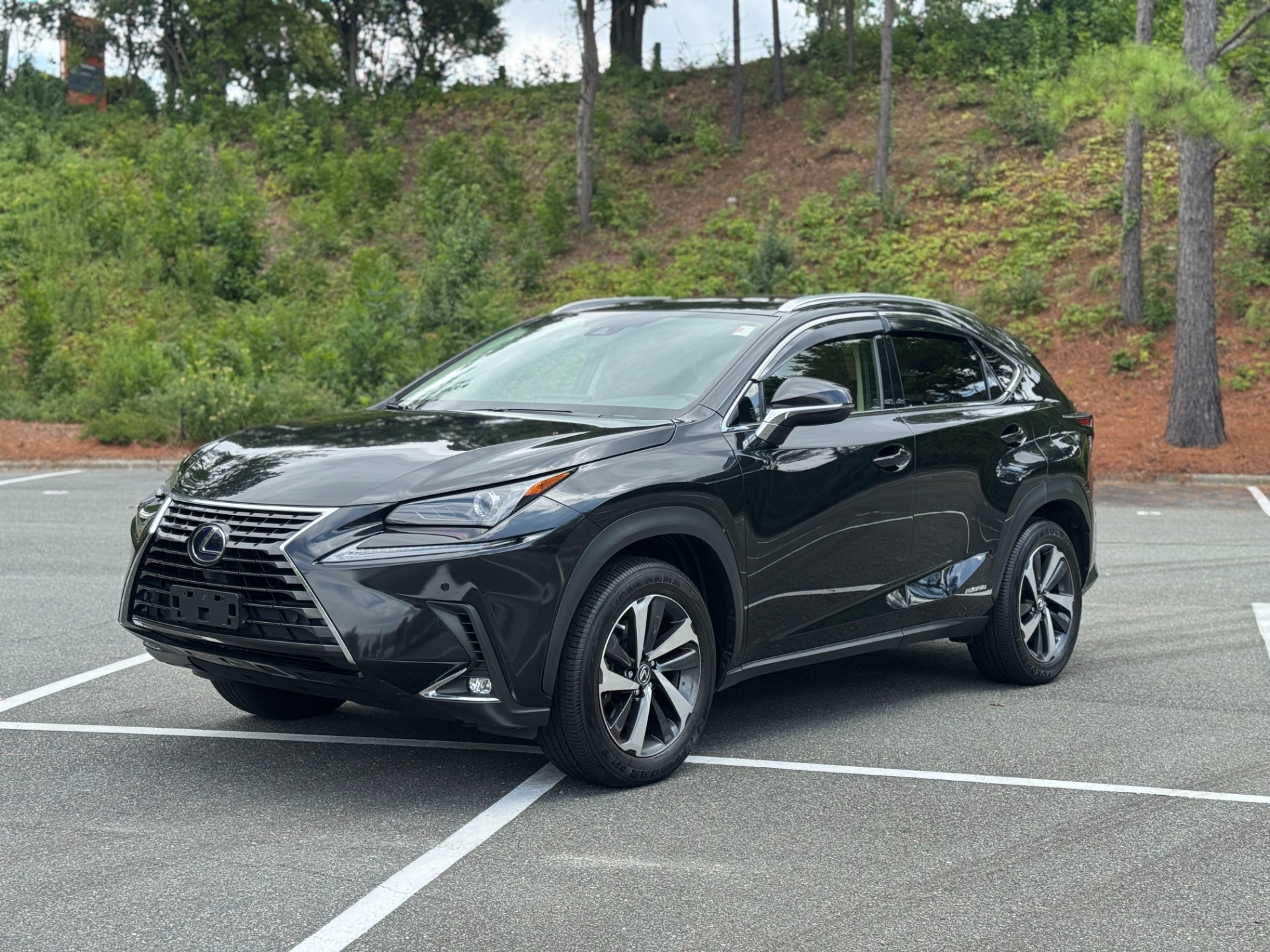 2021 Lexus NX 300h Premium photo 3