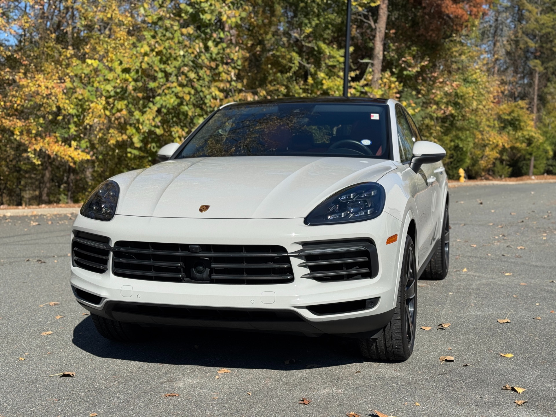 2022 Porsche Cayenne Platinum Edition Coupe photo 2