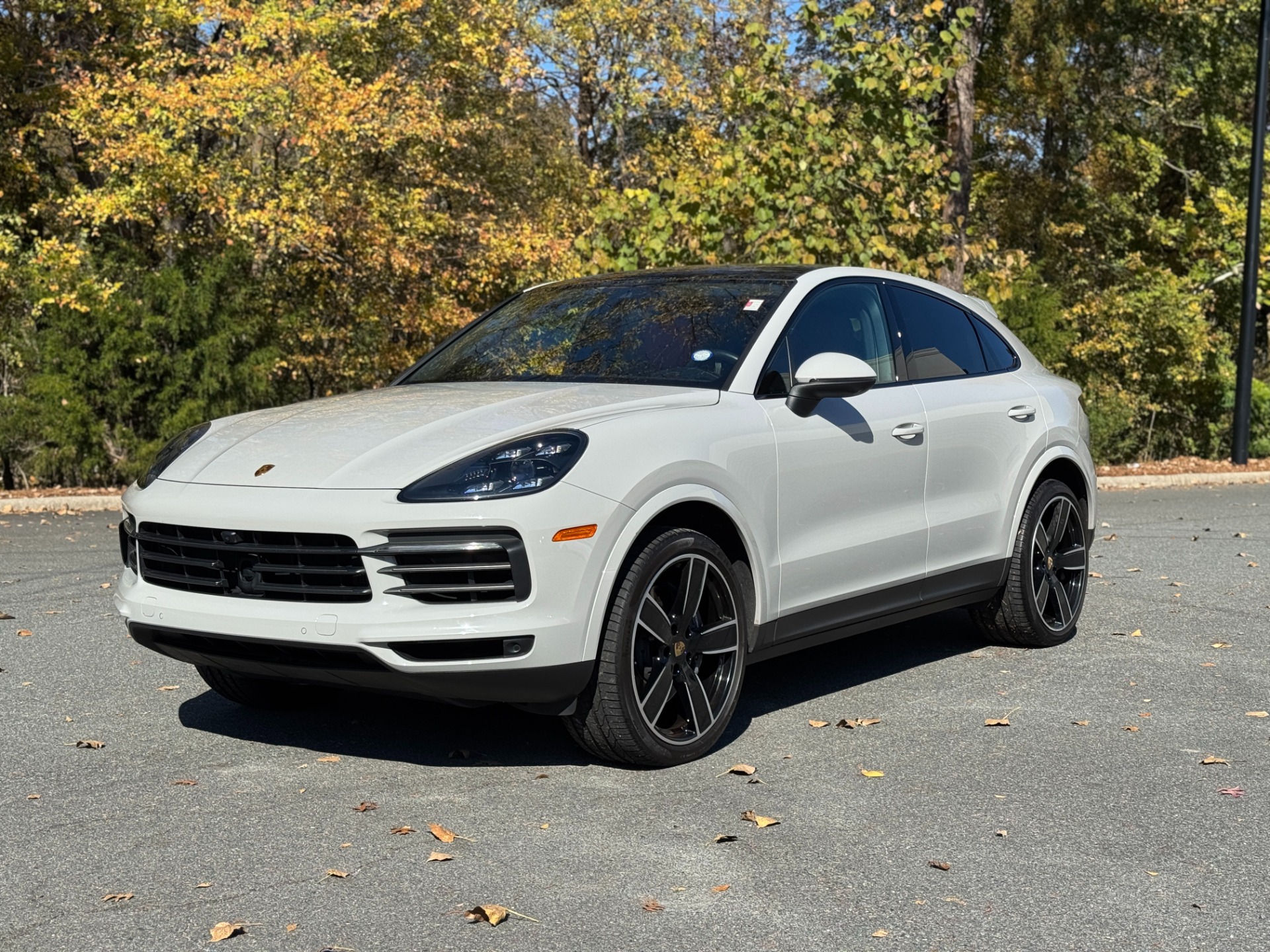 2022 Porsche Cayenne Platinum Edition Coupe photo 3