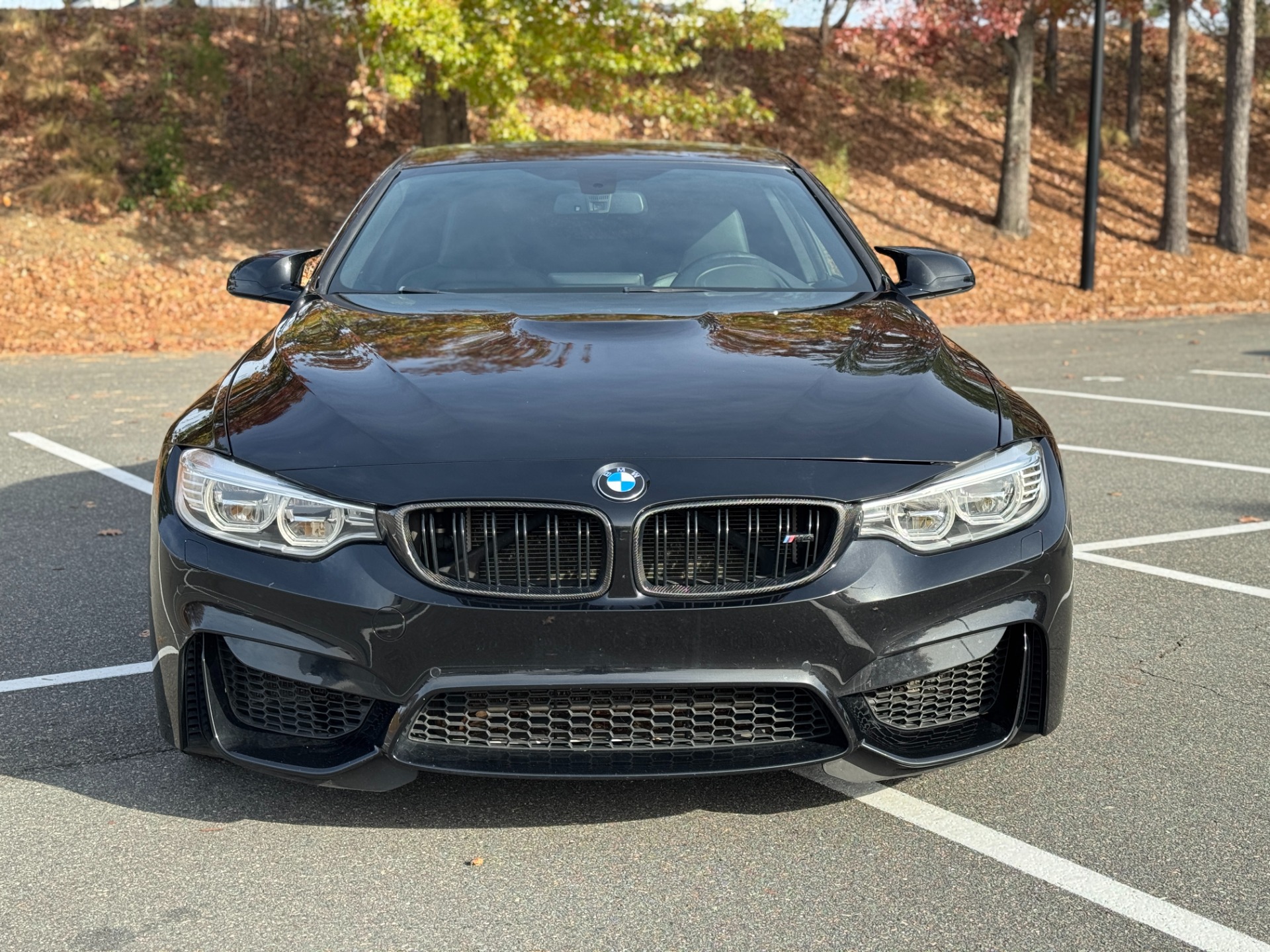 2015 Bmw M4 photo 2