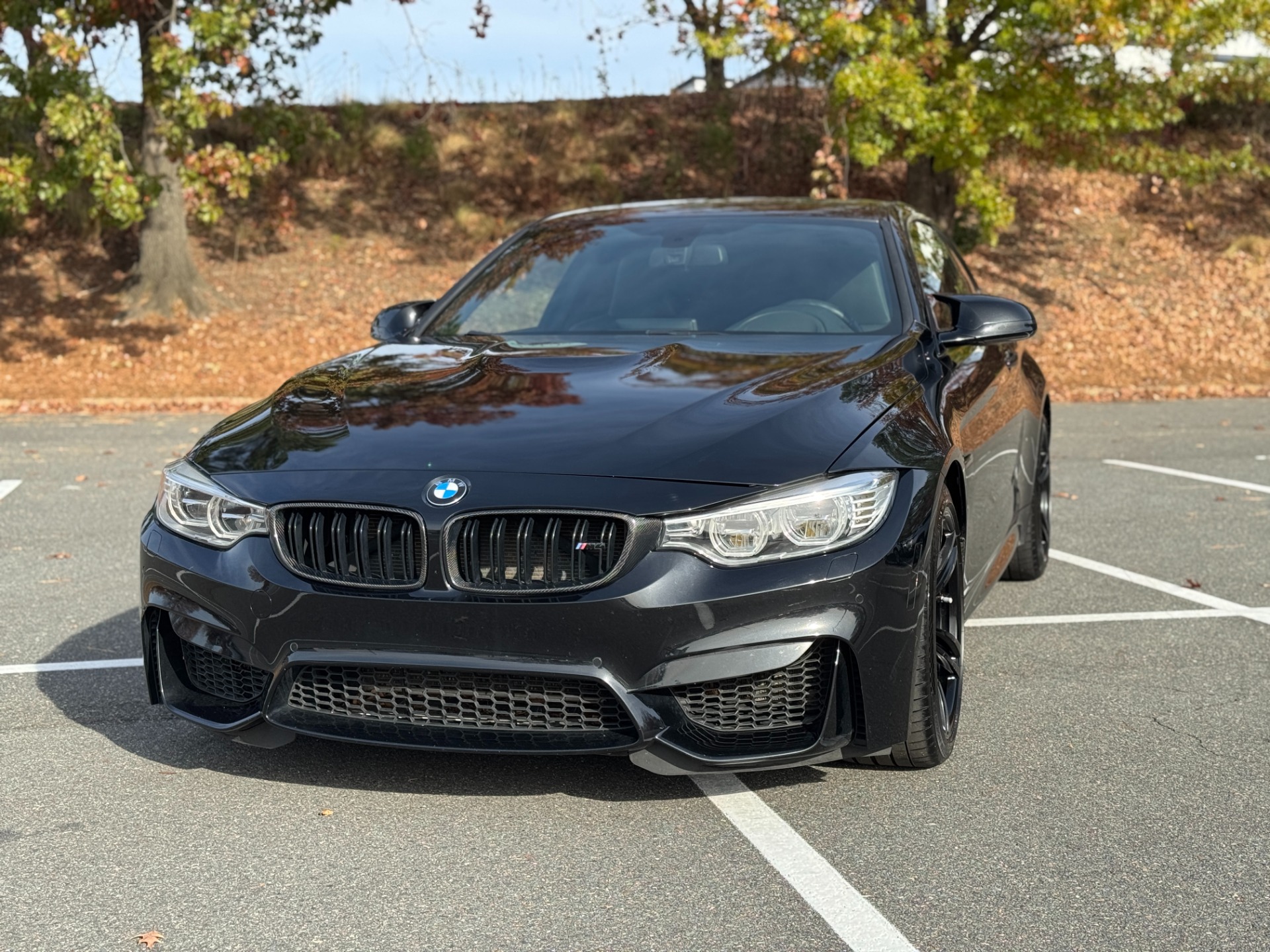 2015 Bmw M4 photo 3