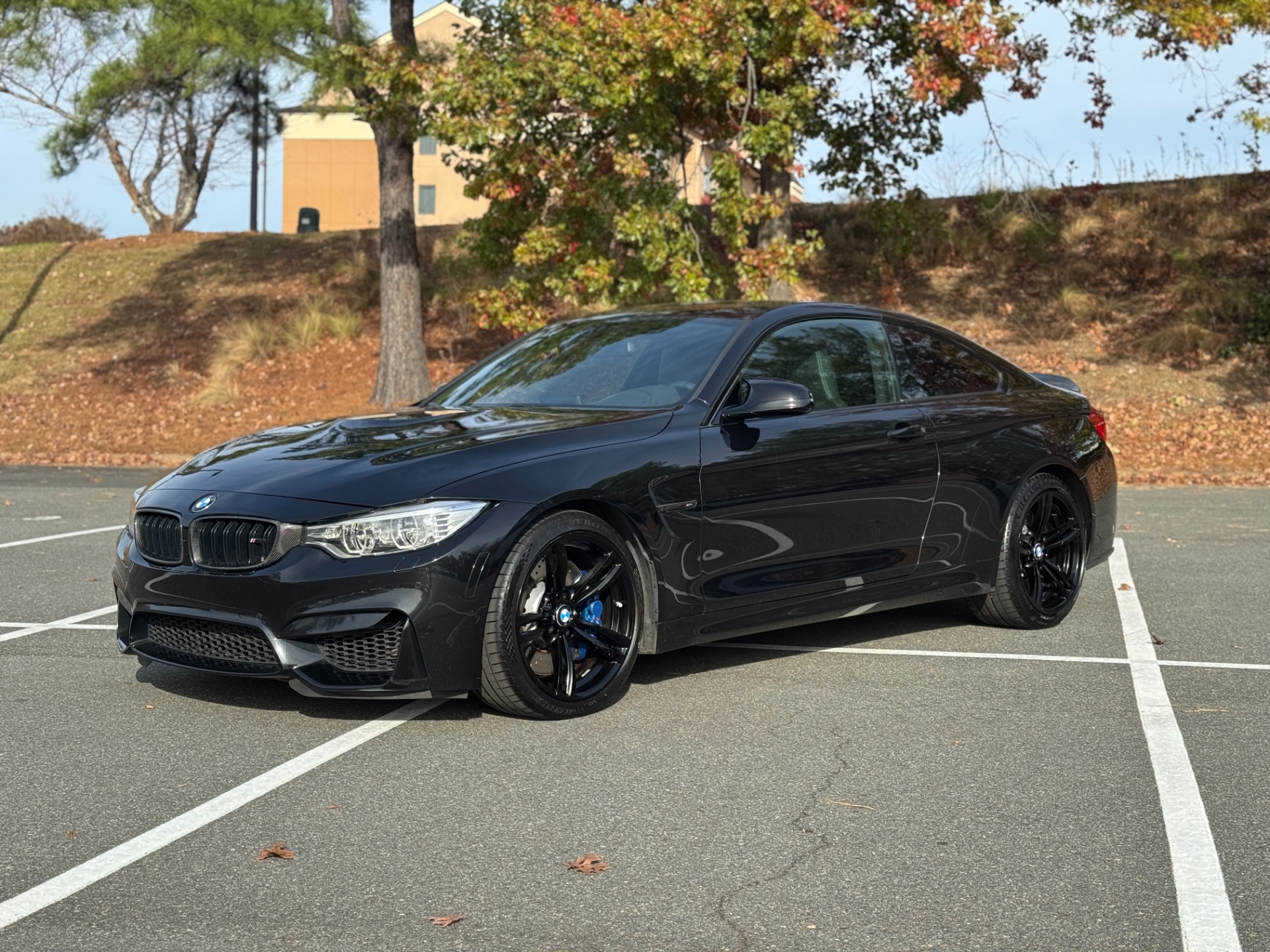 2015 Bmw M4 photo 4
