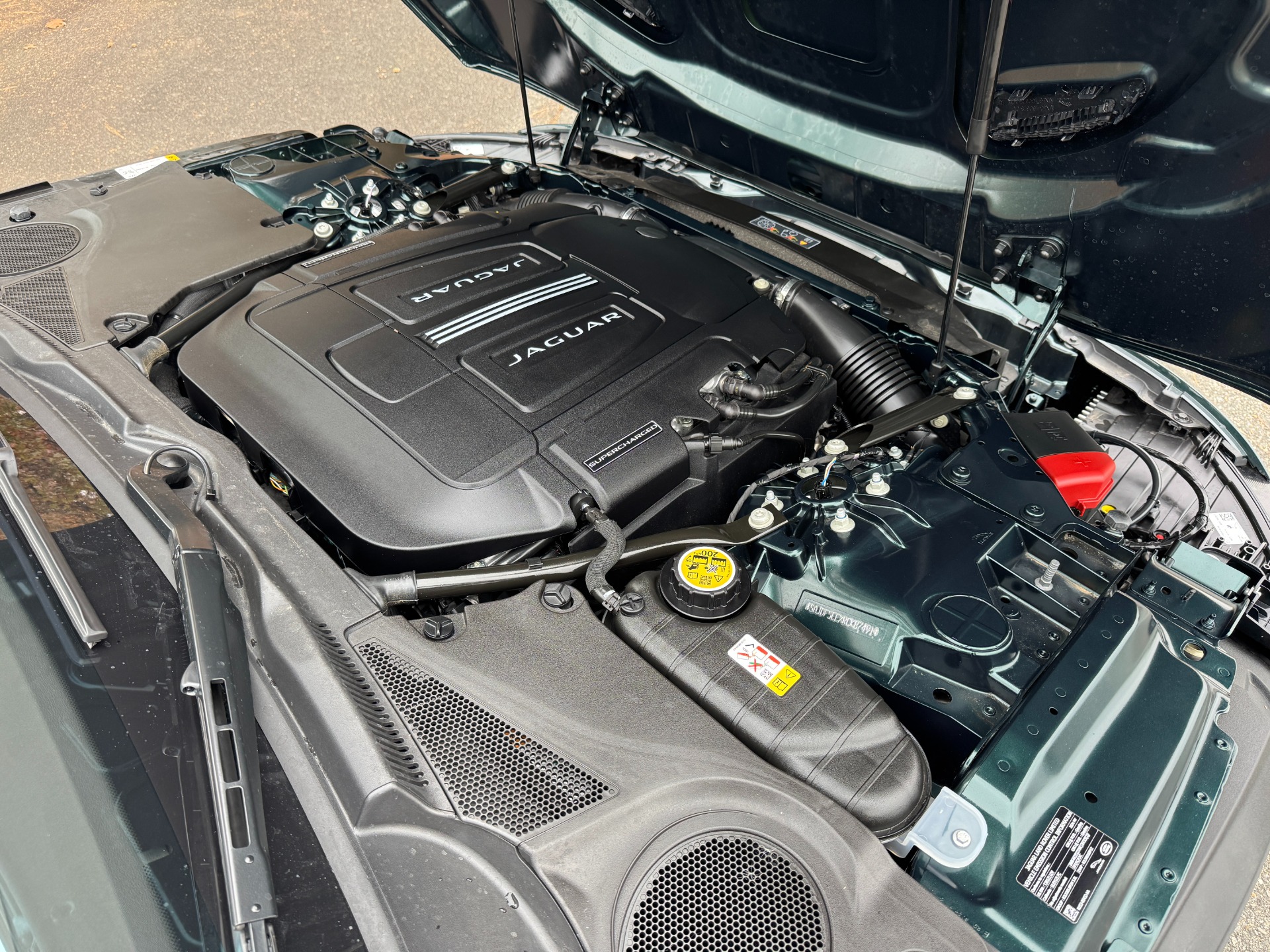Used 2024 Jaguar F-TYPE Convertible P450 R-Dynamic RWD BRITISH RACING GREEN / MERIDIAN SOUND for sale Sold at Formula Imports in Charlotte NC 28227 49