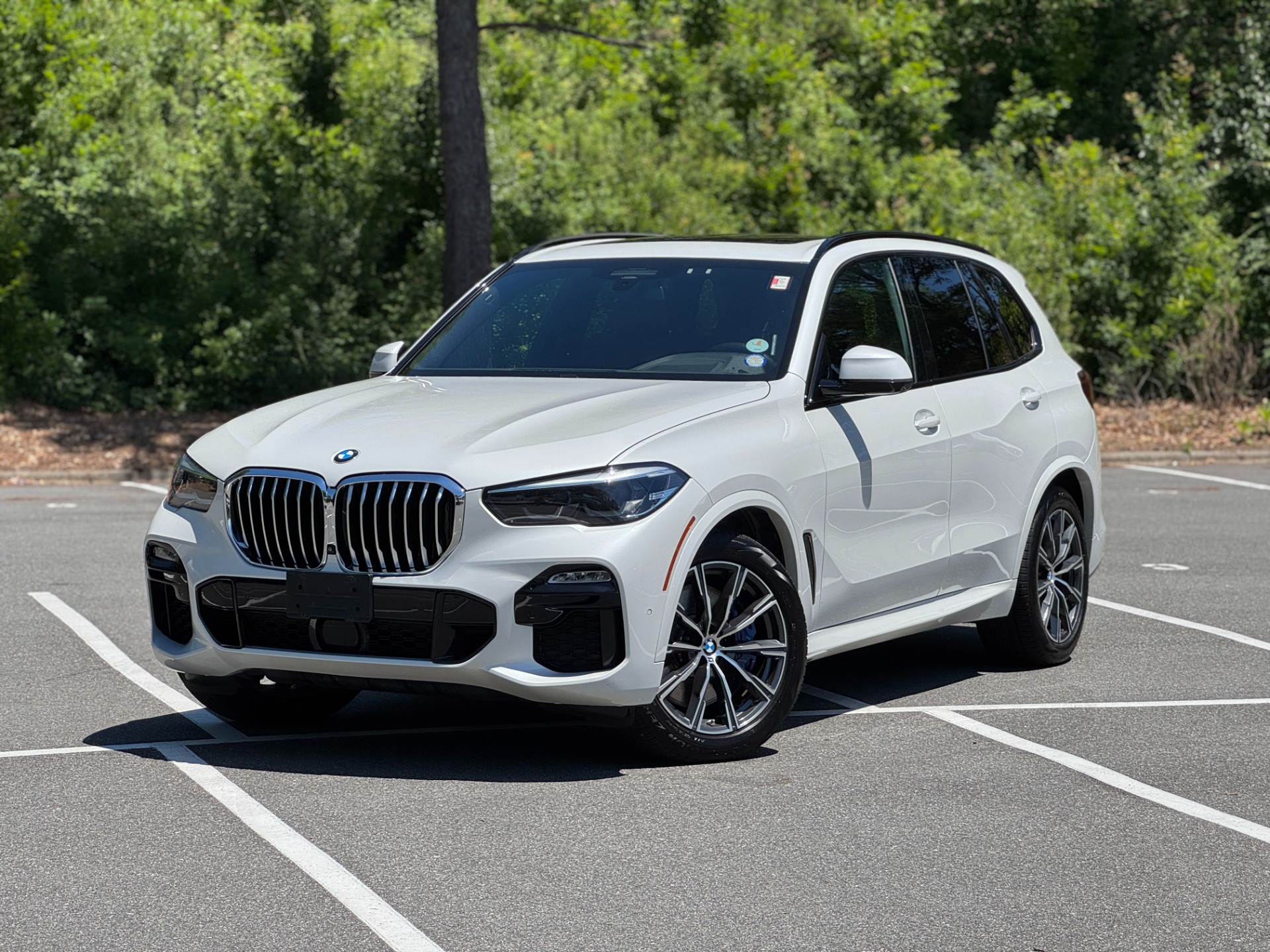 2019 BMW X5 xDrive50i's photo