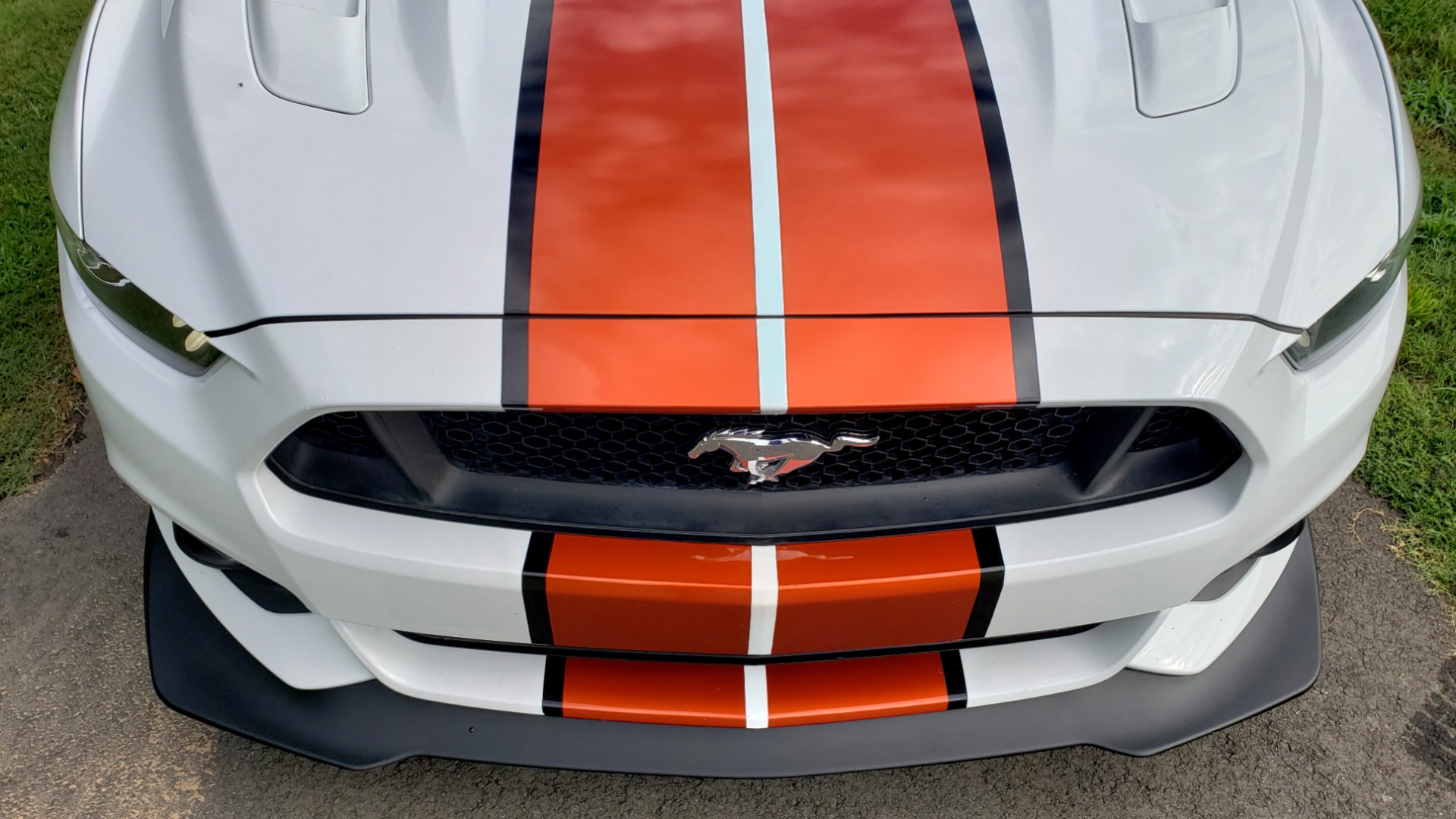 Used 2017 Ford MUSTANG GT PREMIUM CONV / 5.0L V8 / 6-SPD AUTO / NAV / HTD STS / REARVIEW for sale Sold at Formula Imports in Charlotte NC 28227 24