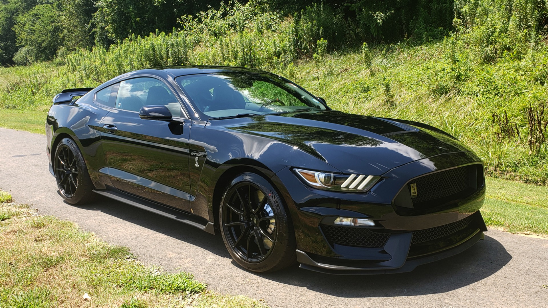 Used 2019 Ford MUSTANG SHELBY GT350 COUPE / TECH PKG / B&O SND / NAV / HNDLNG PKG / REARVIEW for sale Sold at Formula Imports in Charlotte NC 28227 4
