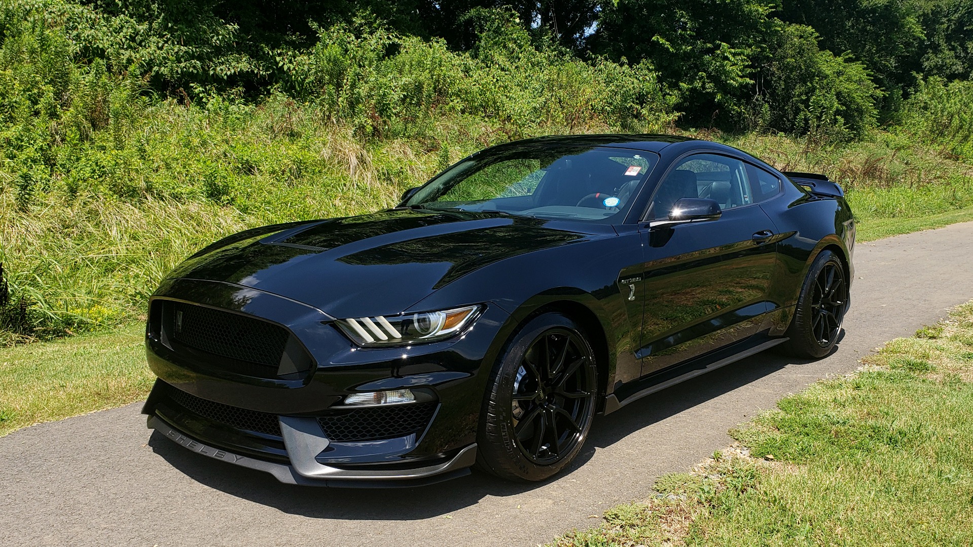 Used 2019 Ford MUSTANG SHELBY GT350 COUPE / TECH PKG / B&O SND / NAV / HNDLNG PKG / REARVIEW for sale Sold at Formula Imports in Charlotte NC 28227 7