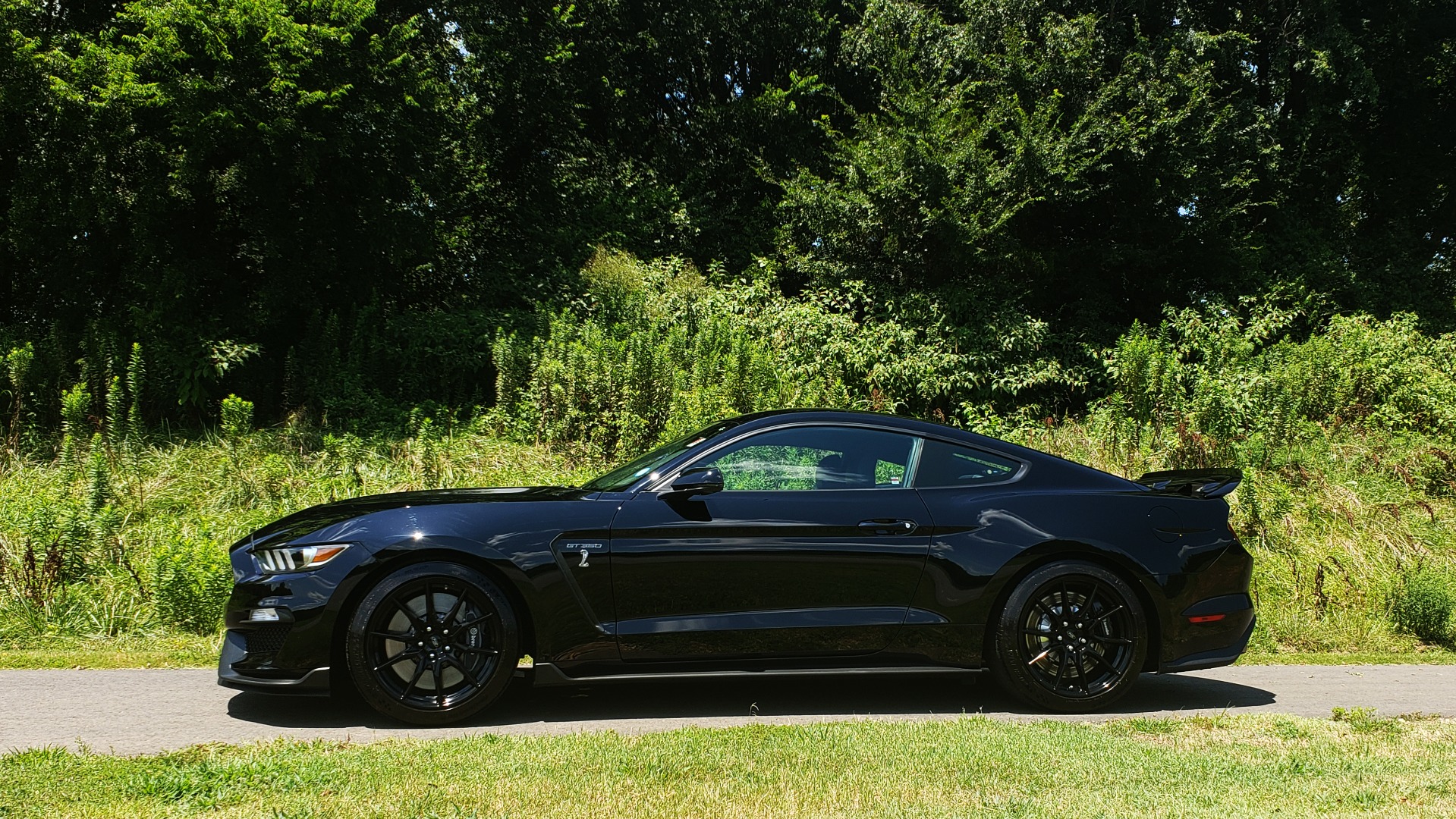 Used 2019 Ford MUSTANG SHELBY GT350 COUPE / TECH PKG / B&O SND / NAV / HNDLNG PKG / REARVIEW for sale Sold at Formula Imports in Charlotte NC 28227 8