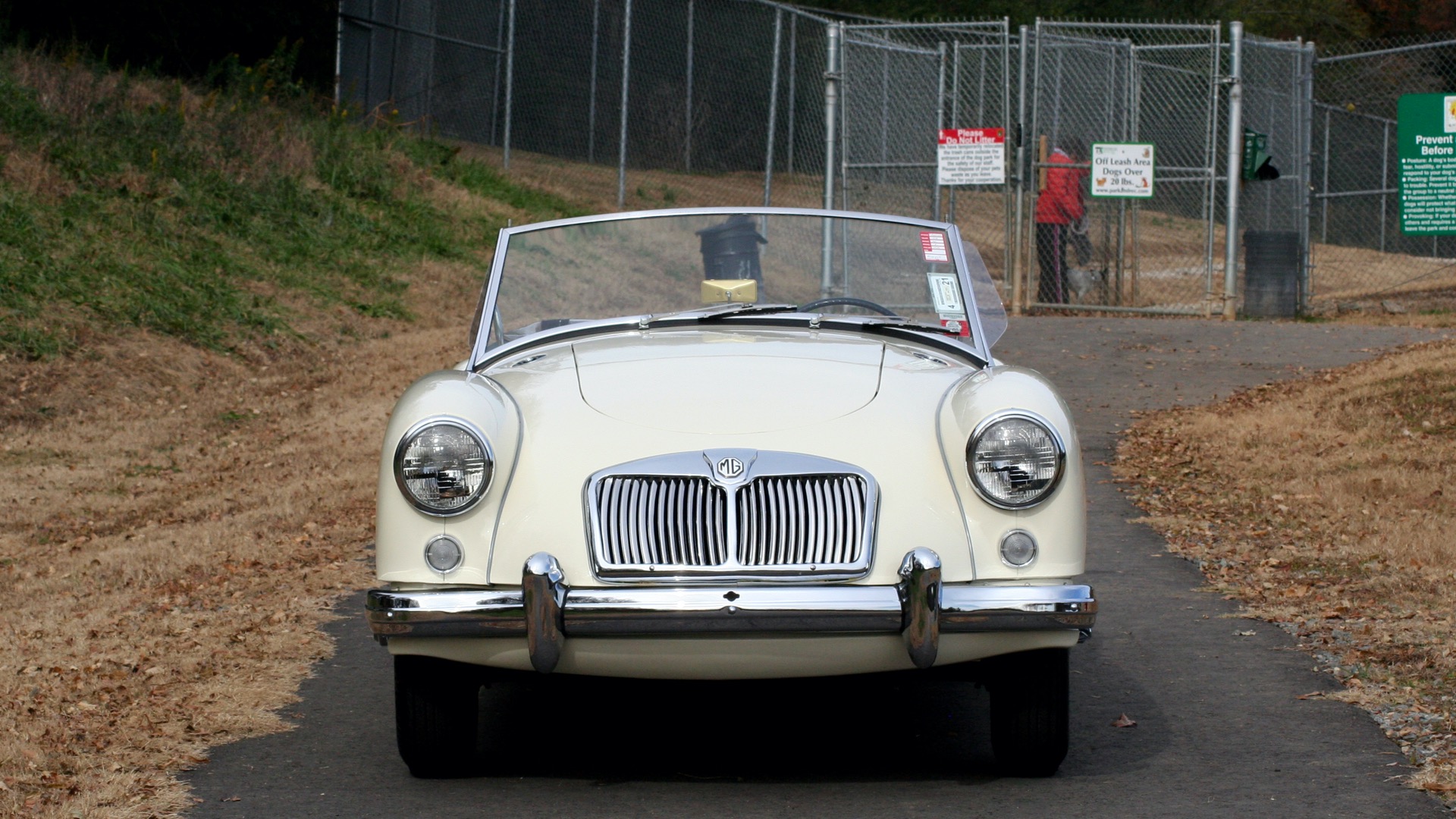 Used 1956 MG A ROADSTER / 4-SPD MAN / FULLY RESTORED / ALL NEW / SHOWROOM CONDITION for sale Sold at Formula Imports in Charlotte NC 28227 9
